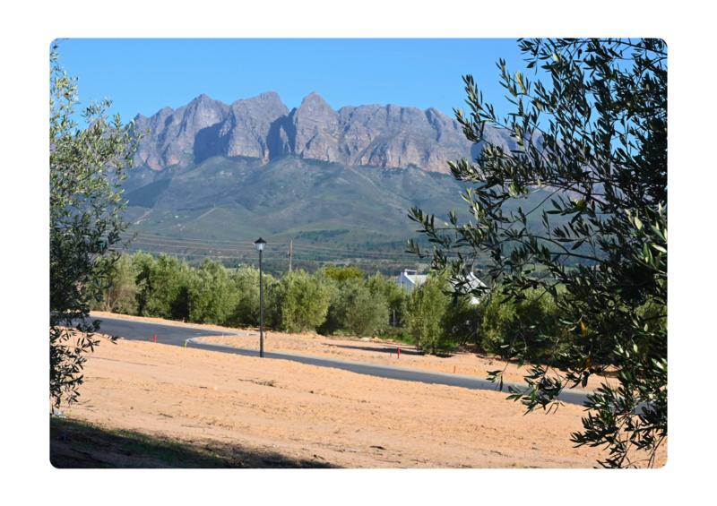 0 Bedroom Property for Sale in Wellington Western Cape
